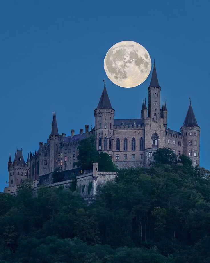 Hohenzollern Castle in Germany. I just chose this because I think it is a pretty castle, to be honest.